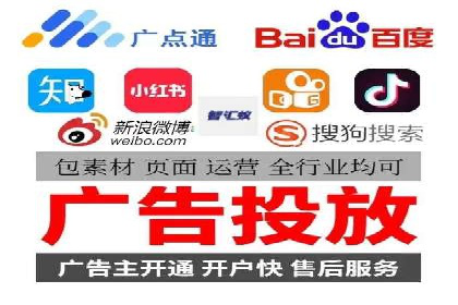 某公司通过竞价SEM优化搜索引擎排名案例